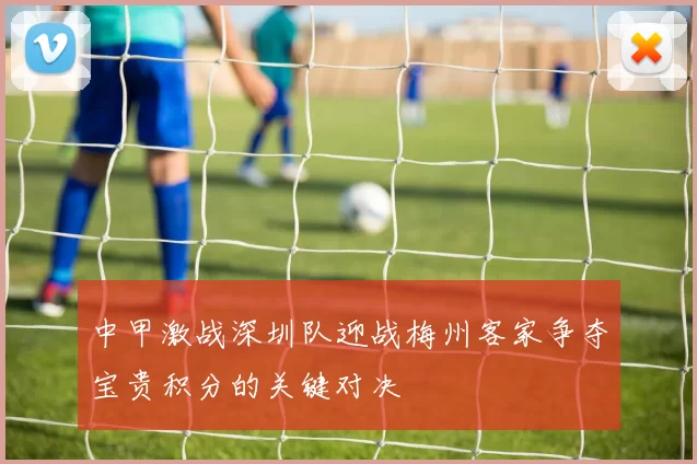 中甲激战深圳队迎战梅州客家争夺宝贵积分的关键对决