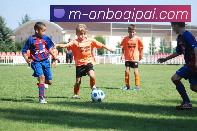 多媒体互动体验